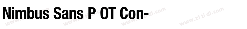 Nimbus Sans P OT Con字体转换 Nimbus Sans P OT Con字体转换